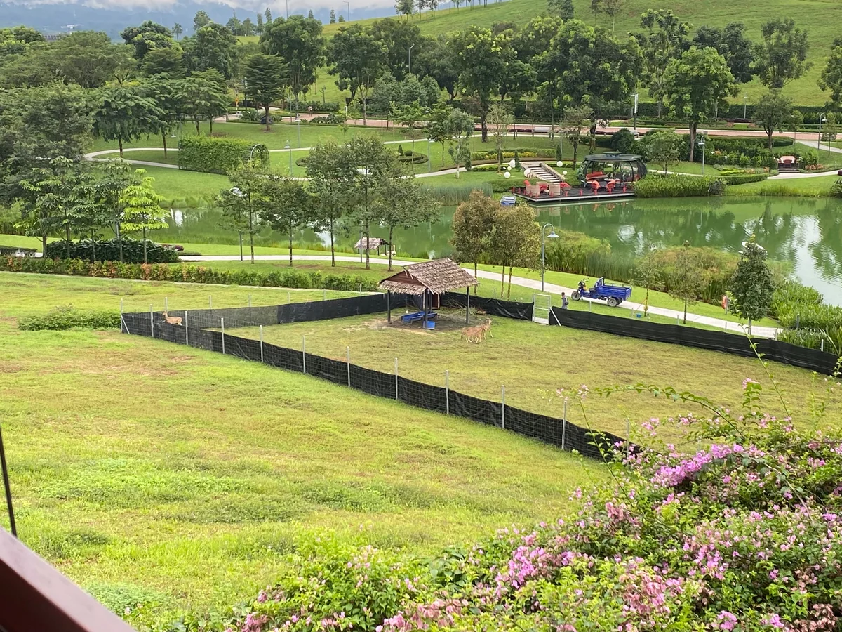 Anyara Hills — the estate's private farm area
