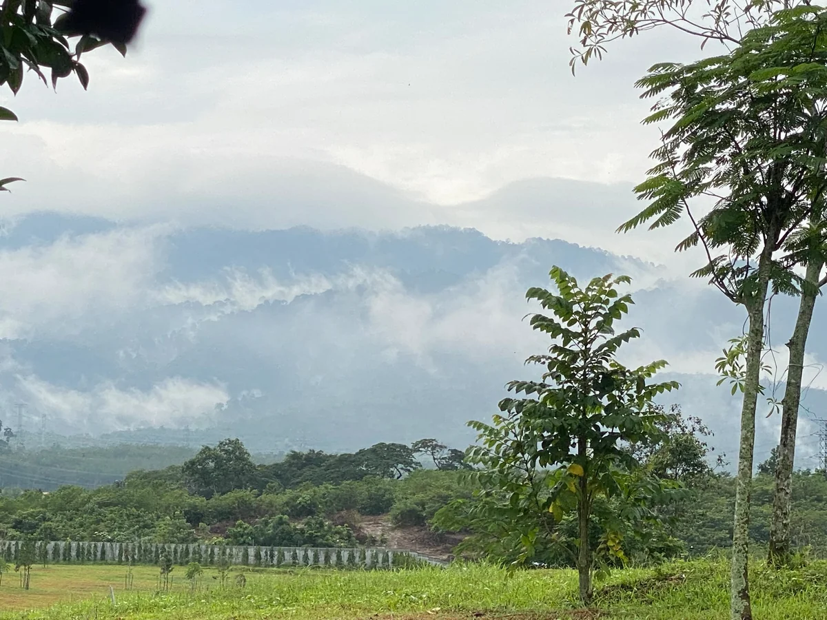 Anyara Hills — misty hills at the edge of the estate